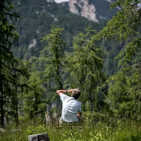 Amazing Glamping Tent For Luxury In Austria
